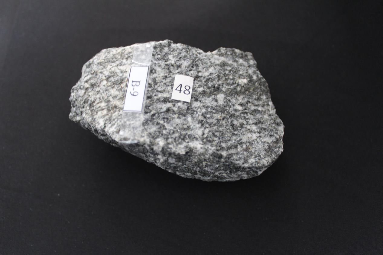 黑云斜长片麻岩