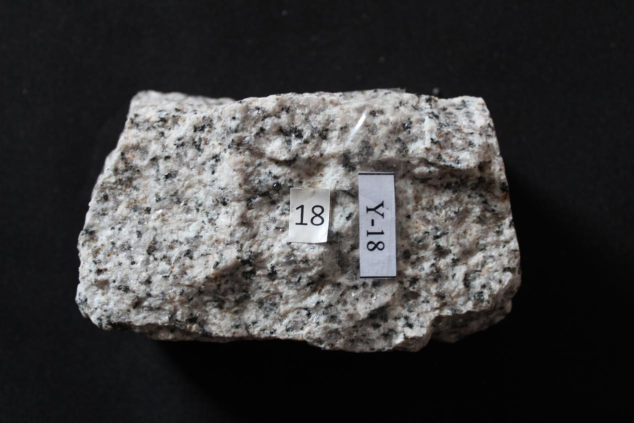 细粒黑云母花岗岩